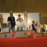 International dog show riga 14.06.2009 